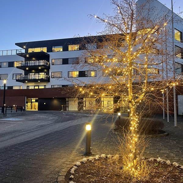 Seríur og kransar komnir upp